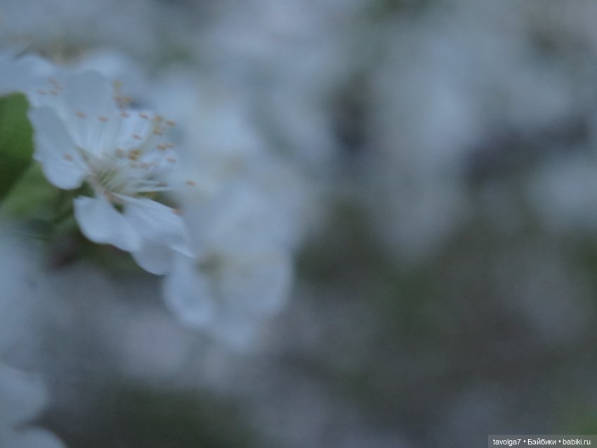 "Несёшь тревожное в март?"