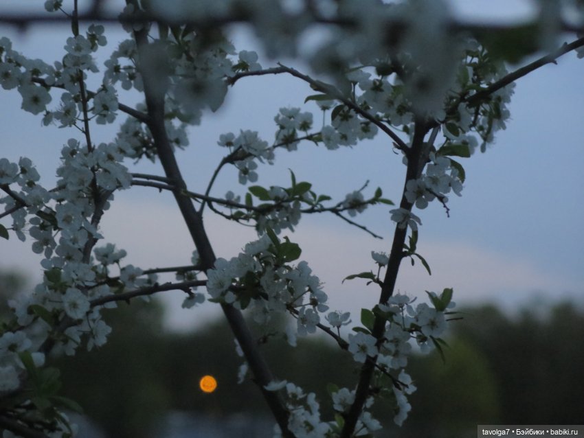 "Несёшь тревожное в март?"