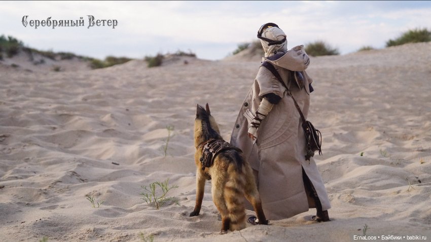 Такая разная Гея — Куклы Dart dolls (Анна Шиткина): российские BJD (БЖД) (фото 7)