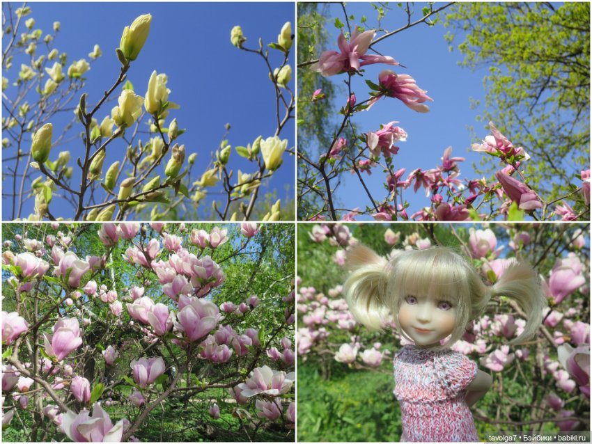 Ruby Red Siblies Стелла и магнолии в Аптекарском огороде (фото 10)