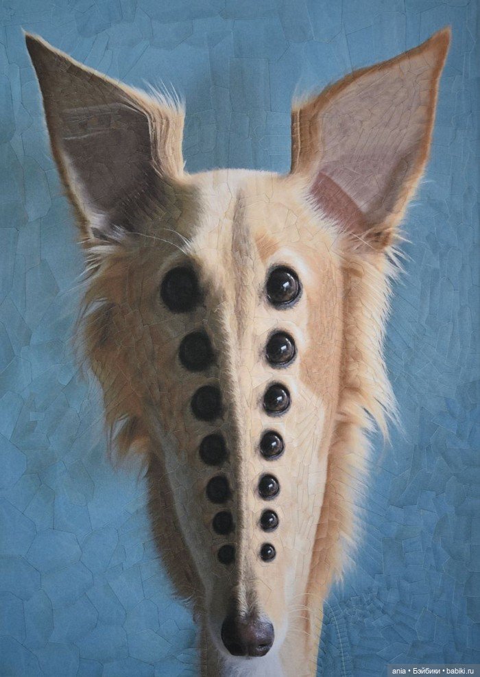 Бумажная алхимия: странно искаженные коллажи животных и людей Лолы Дюпре (фото 4)