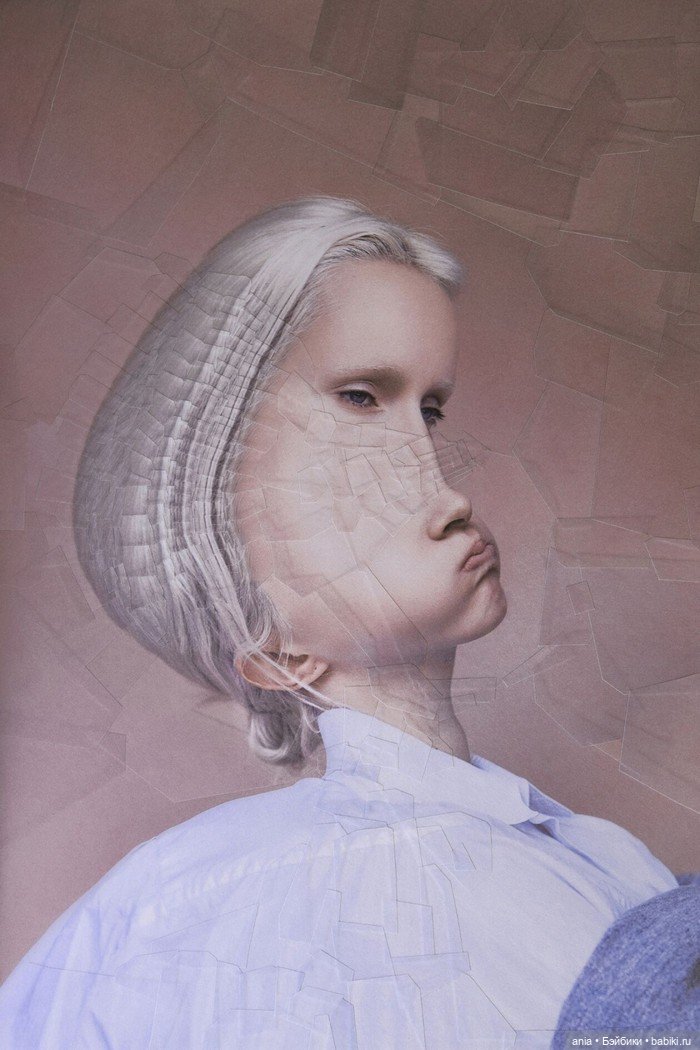 Бумажная алхимия: странно искаженные коллажи животных и людей Лолы Дюпре