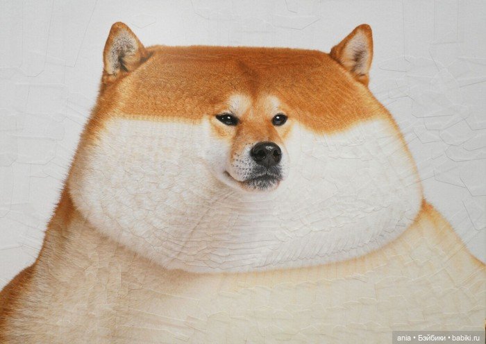 Бумажная алхимия: странно искаженные коллажи животных и людей Лолы Дюпре