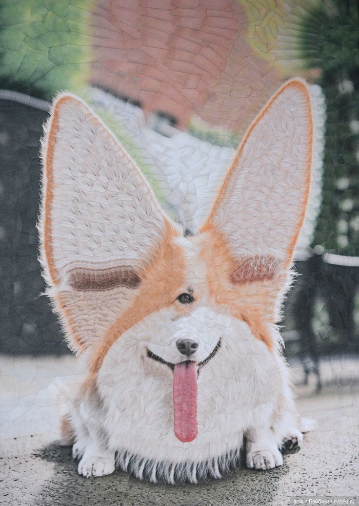 Бумажная алхимия: странно искаженные коллажи животных и людей Лолы Дюпре (фото 6)