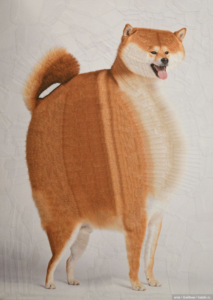 Бумажная алхимия: странно искаженные коллажи животных и людей Лолы Дюпре (фото 9)