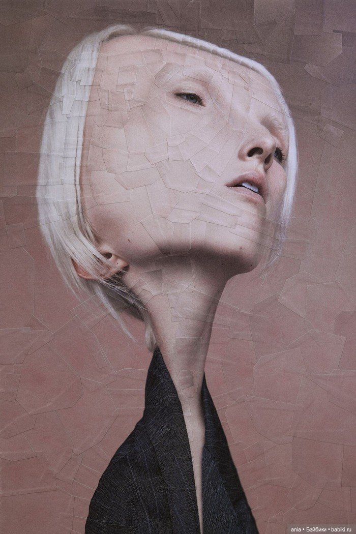 Бумажная алхимия: странно искаженные коллажи животных и людей Лолы Дюпре