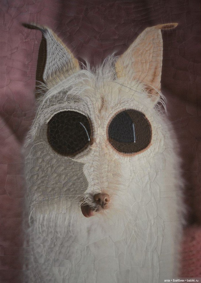 Бумажная алхимия: странно искаженные коллажи животных и людей Лолы Дюпре (фото 8)