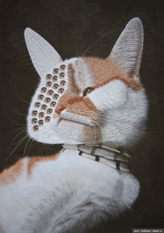 Бумажная алхимия: странно искаженные коллажи животных и людей Лолы Дюпре