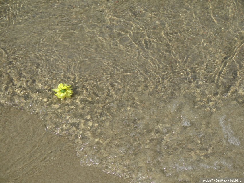 "Мне нужны старые камни и запах моря" (фото 2)