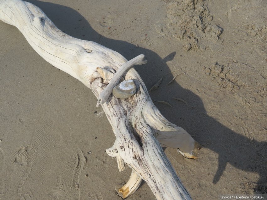 "Мне нужны старые камни и запах моря" (фото 5)