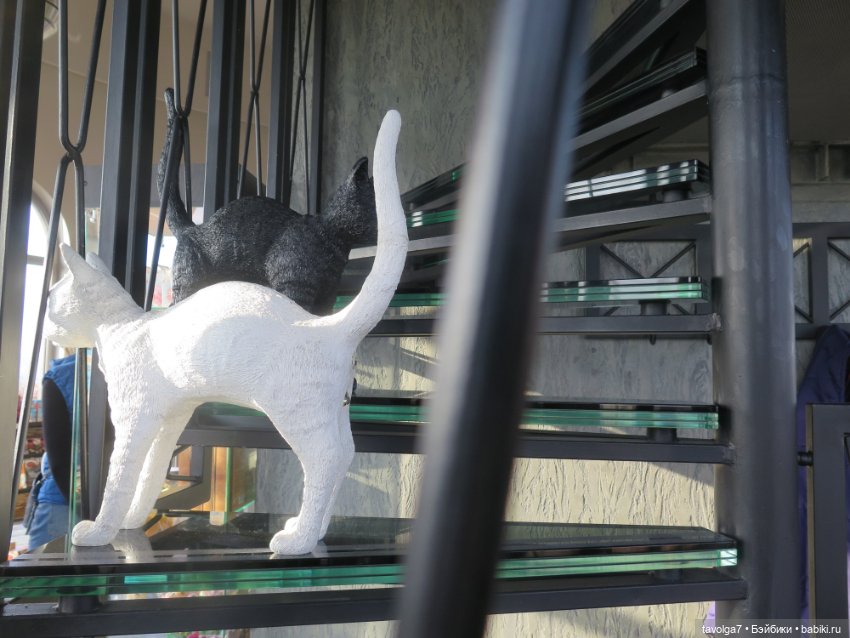 "Мне нужны старые камни и запах моря"