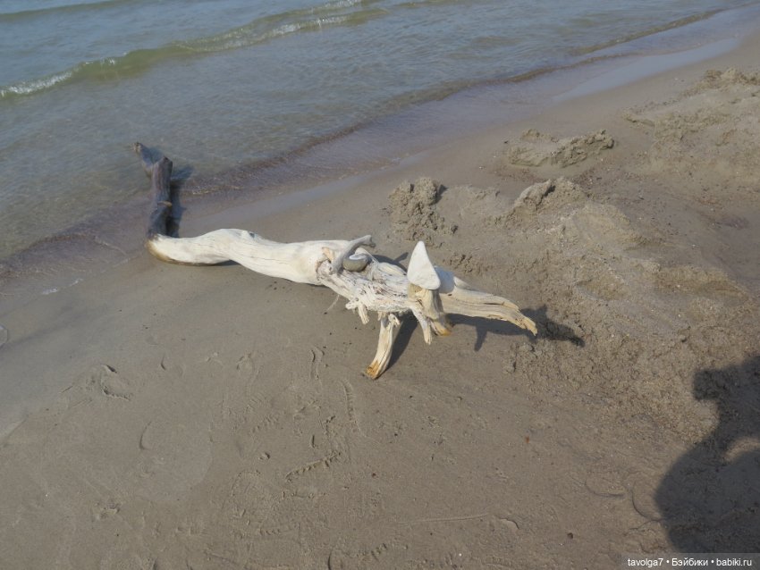 "Мне нужны старые камни и запах моря" (фото 4)