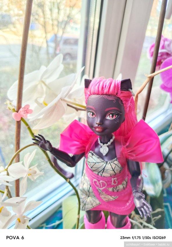 Прекрасная Катарина — Куклы Monster High и Ever After High: G1