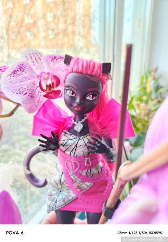 Прекрасная Катарина — Куклы Monster High и Ever After High: G1 (фото 10)
