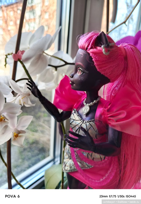 Прекрасная Катарина — Куклы Monster High и Ever After High: G1