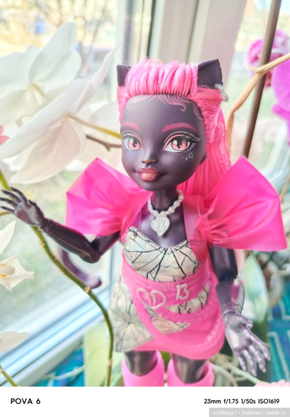 Прекрасная Катарина — Куклы Monster High и Ever After High: G1