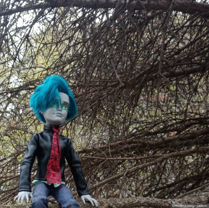 На работе и на отдыхе — Куклы Monster High и Ever After High: G1 (фото 3)