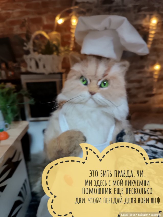 Кафе "Кошачья лапка": Спецвыпуск (фото 4)