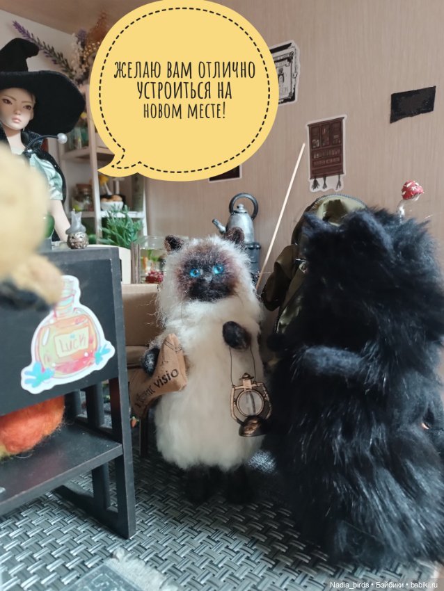 Кафе "Кошачья лапка": Спецвыпуск