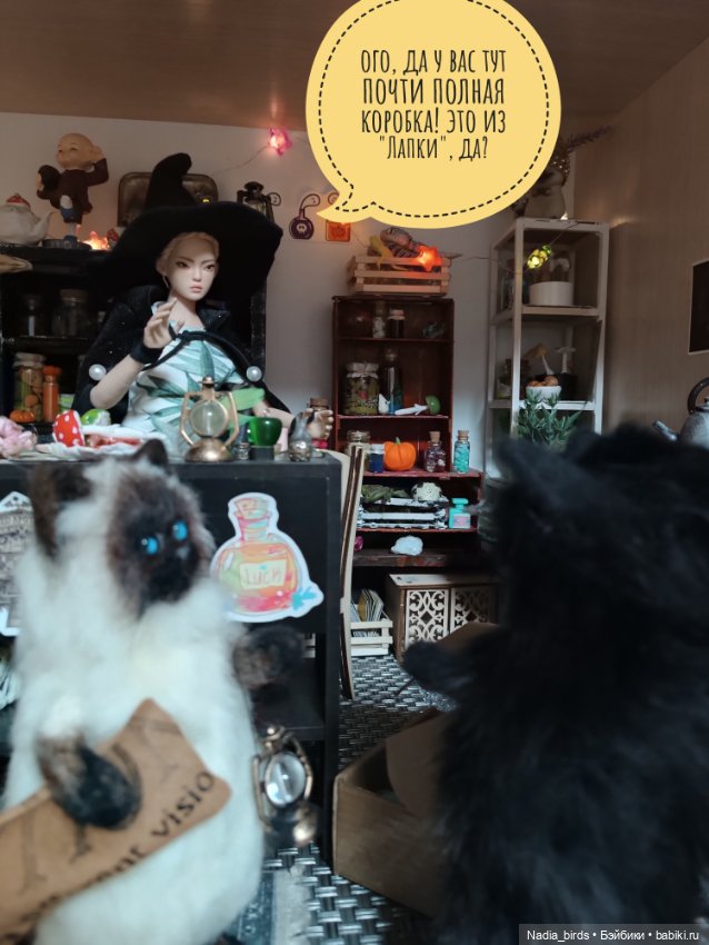 Кафе "Кошачья лапка": Спецвыпуск