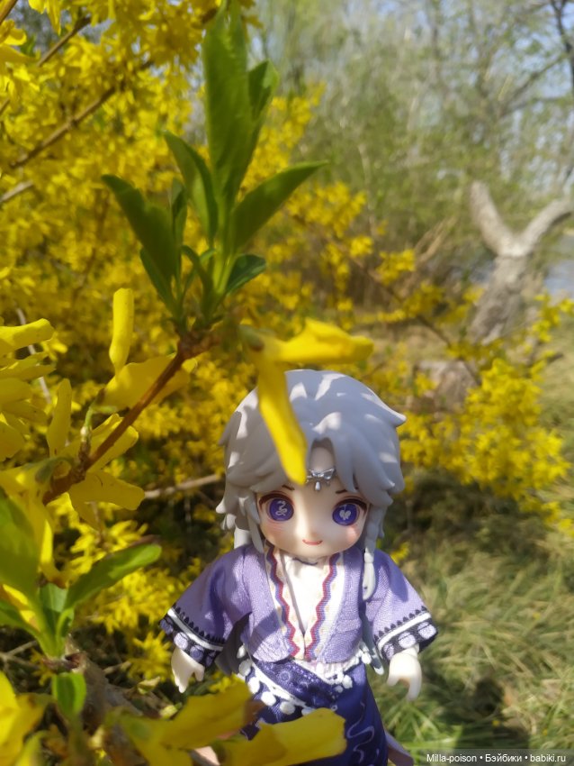 Фотопрогулка с Ли Бин в парке (фото 8)