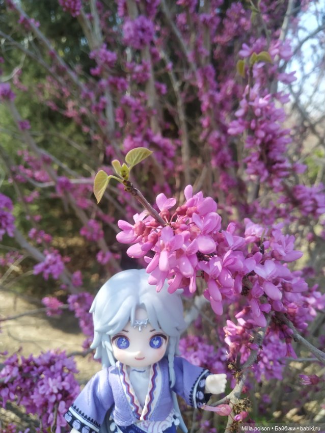 Фотопрогулка с Ли Бин в парке