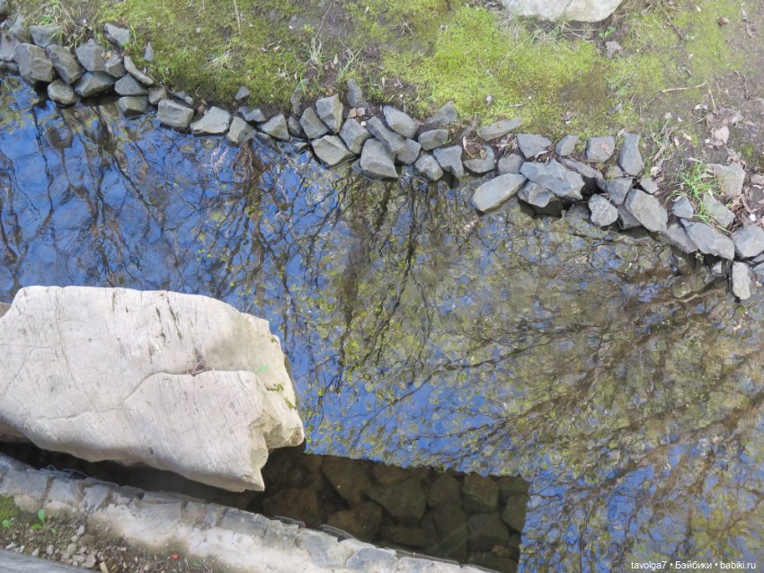 Popo Milk дождалась весны