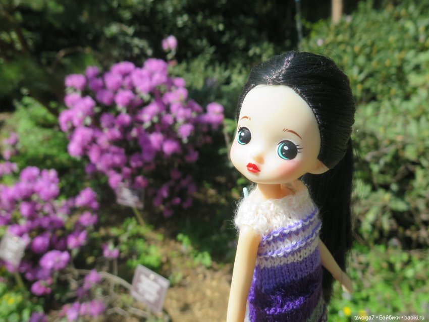 Popo Milk дождалась весны