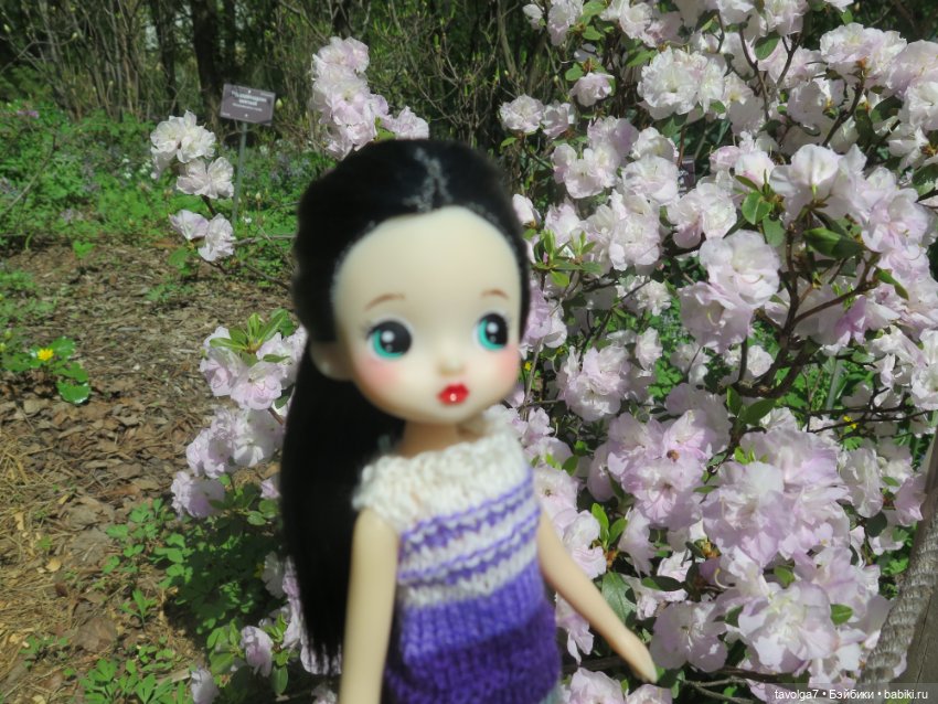 Popo Milk дождалась весны (фото 9)