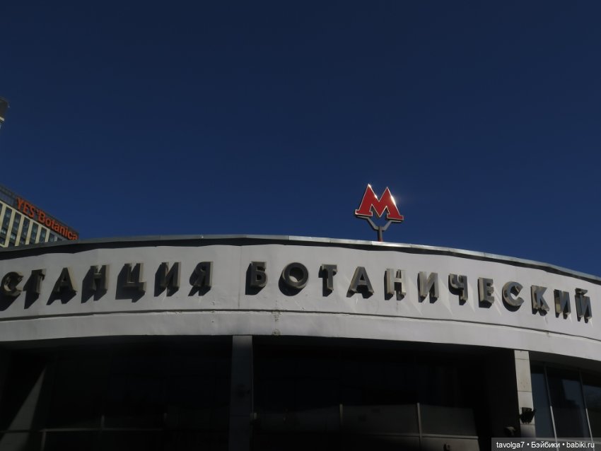 Popo Milk дождалась весны