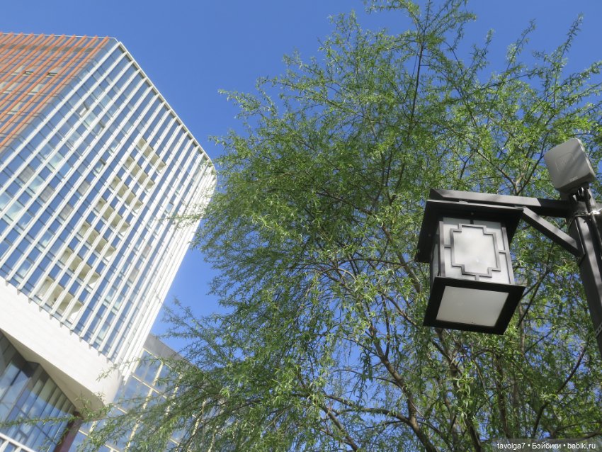 Popo Milk дождалась весны