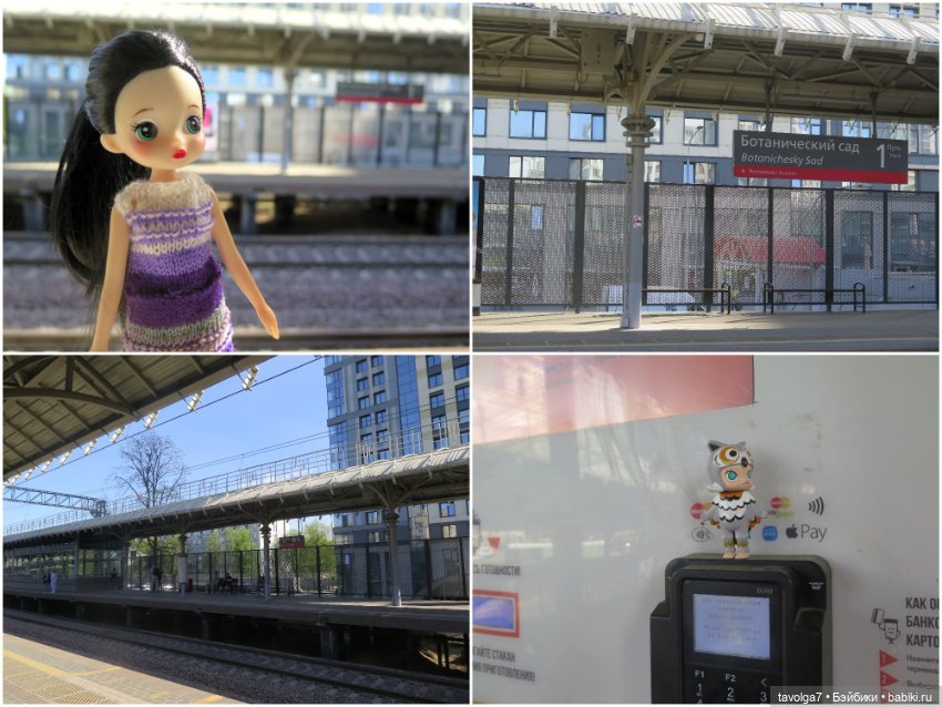 Popo Milk дождалась весны