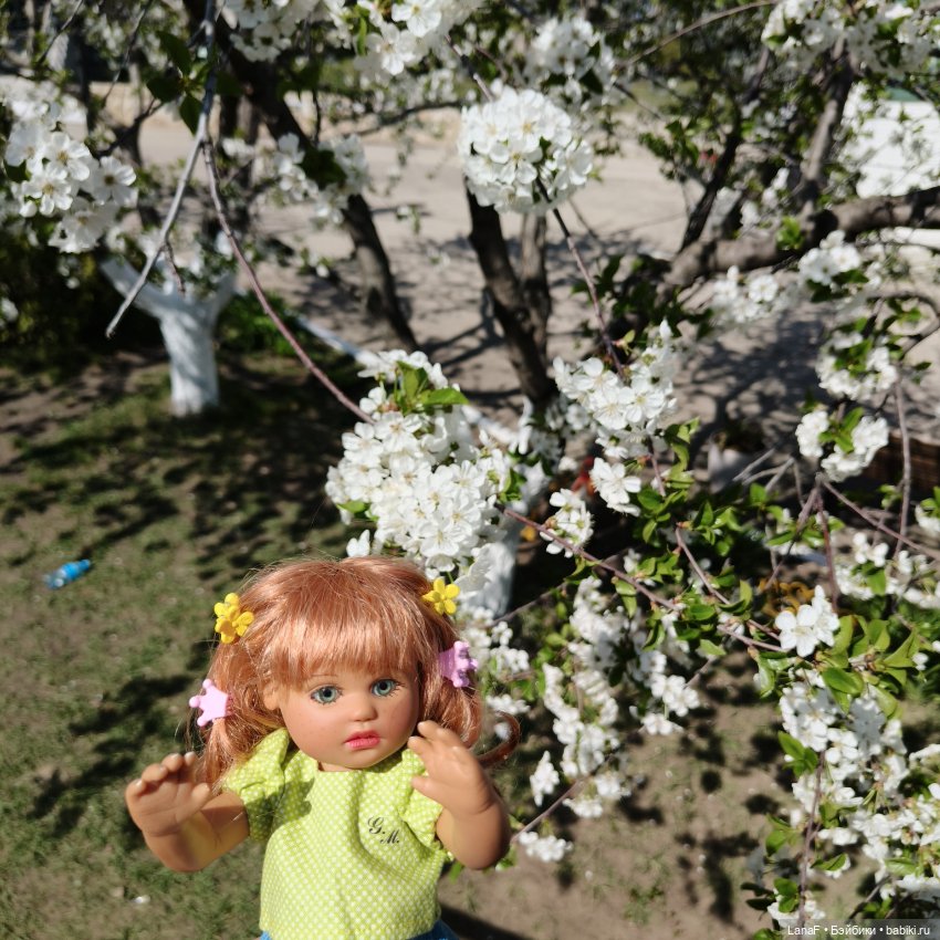 Когда цветут сады🌸🌸🌸(Габриэль Мюллер куколка)