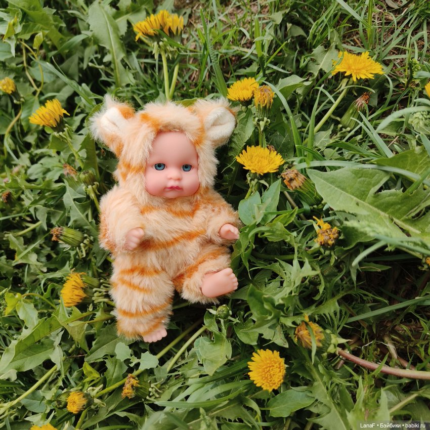 А у нас малыш! Хомячок-тигренок😅😃💛 (фото 8)