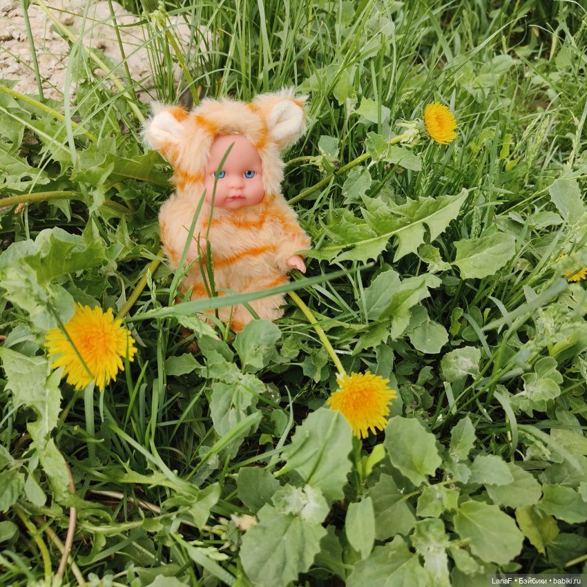 А у нас малыш! Хомячок-тигренок😅😃💛 (фото 5)