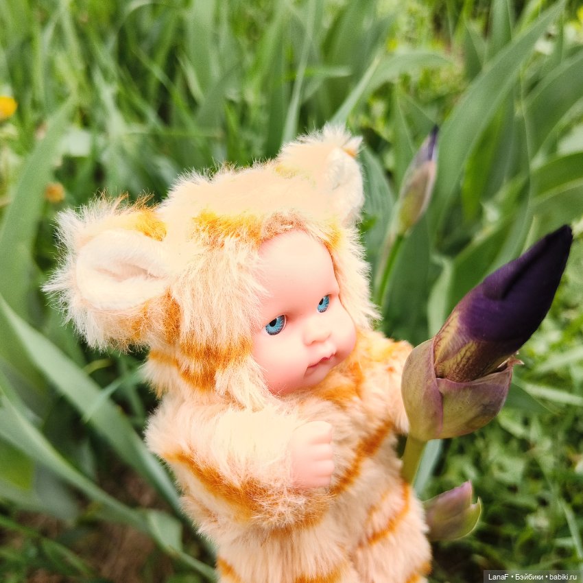 А у нас малыш! Хомячок-тигренок😅😃💛