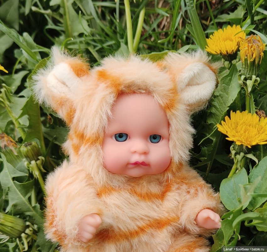 А у нас малыш! Хомячок-тигренок😅😃💛