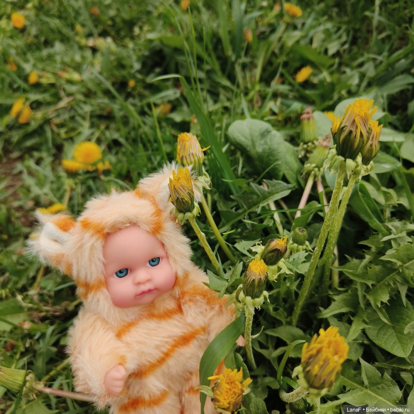 А у нас малыш! Хомячок-тигренок😅😃💛 (фото 6)