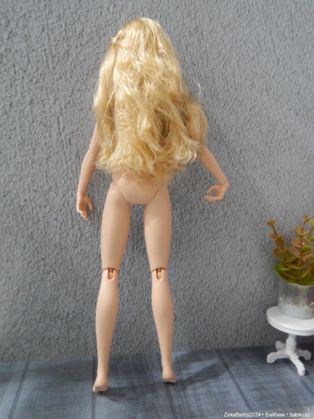 Приехали мои новые девочки (фото 4)