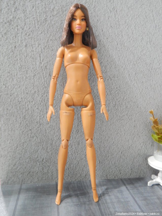 Приехали мои новые девочки (фото 8)