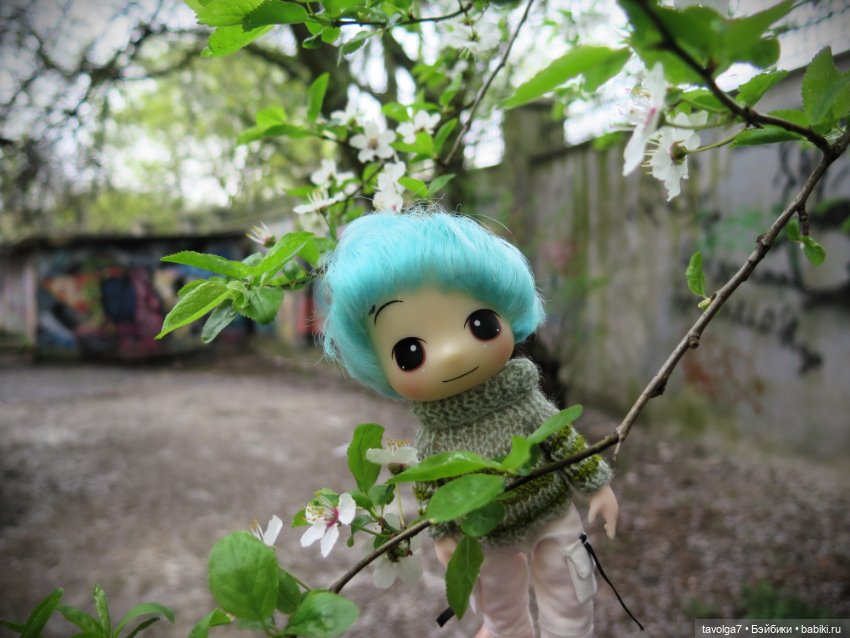 "Нам нужны адвокаты и переводчики..." (фото 7)