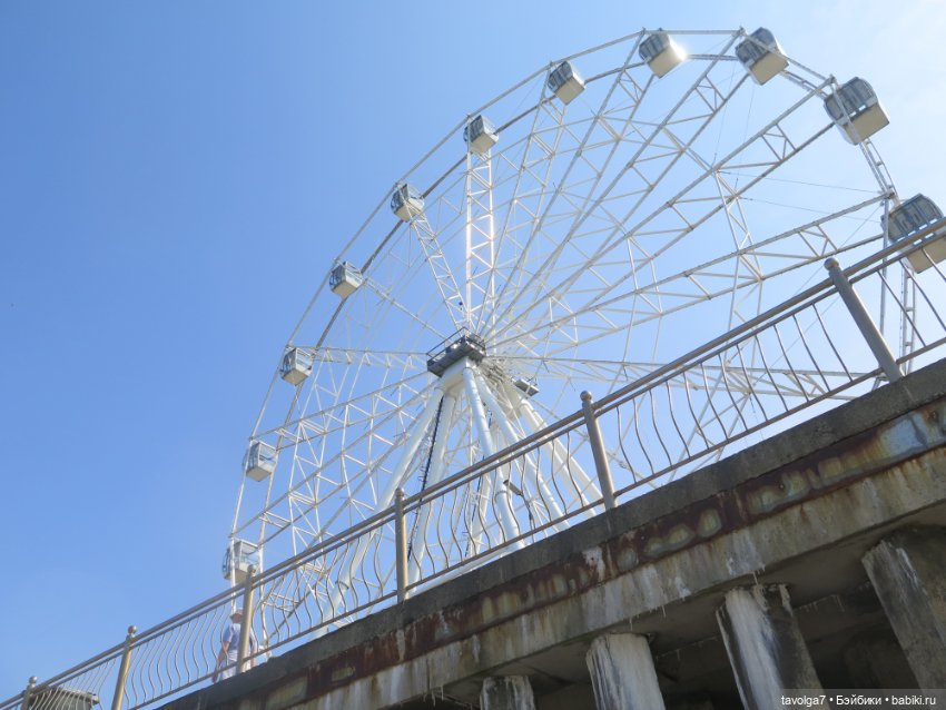 "Нам нужны адвокаты и переводчики..." (фото 5)