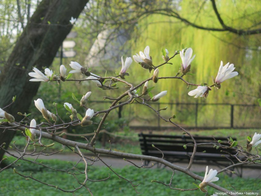 "Нам нужны адвокаты и переводчики..." (фото 9)