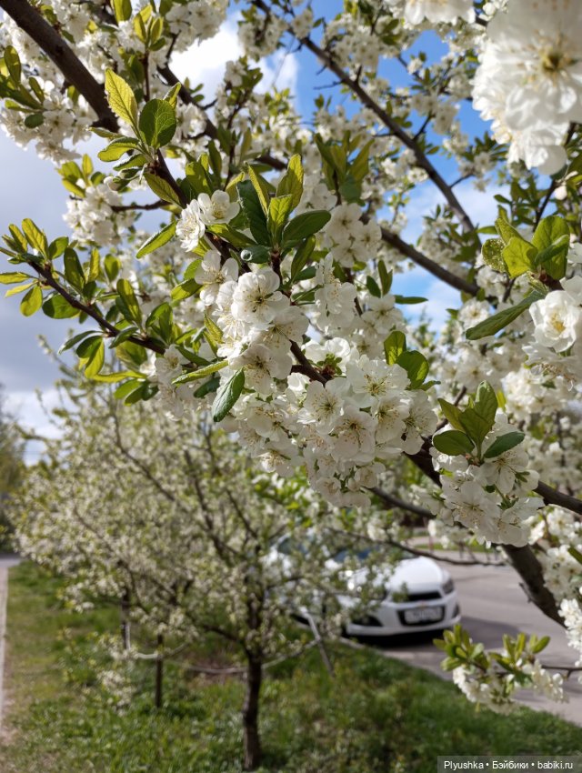 Мириам гуляет у реки — Аналоги Барби и куклы 1/6: клоны 90