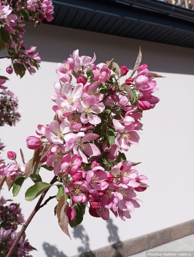 Мириам гуляет у реки — Аналоги Барби и куклы 1/6: клоны 90