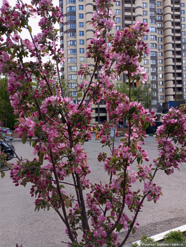 Мириам гуляет у реки — Аналоги Барби и куклы 1/6: клоны 90 (фото 5)