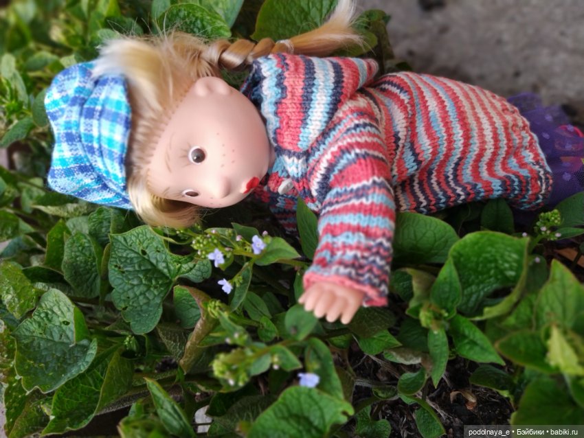 Вы же мои милые, вы ж мои красивые