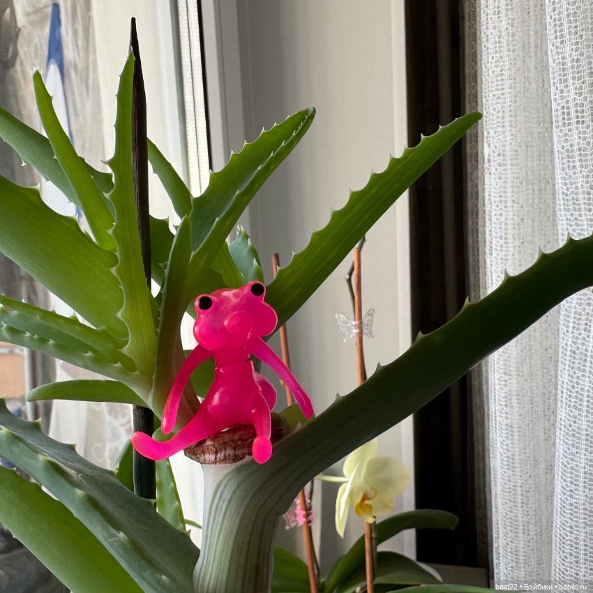 Цветовод-любитель головастик (фото 10)