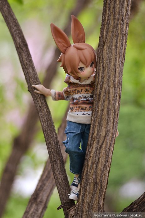 С зайцем весело гулять по просторам (фото 10)