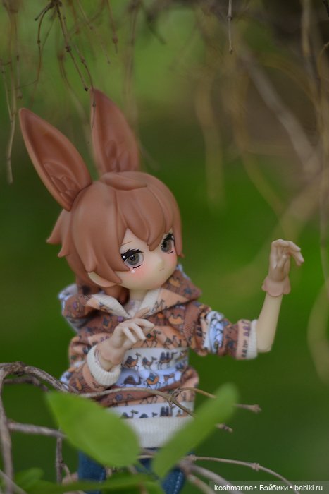 С зайцем весело гулять по просторам (фото 8)